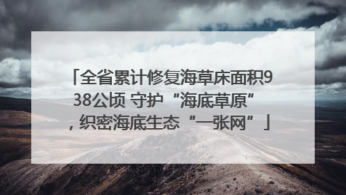 全省累计修复海草床面积938公顷 守护“海底草原”，织密海底生态“一张网”